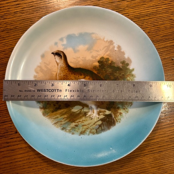 Antique PM Porzellan Moschendorf Bavaria Hand Painted Porcelain Plate Grouse - Picture 3 of 4